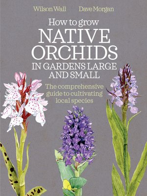 cover image of How to Grow Native Orchids in Gardens Large and Small
